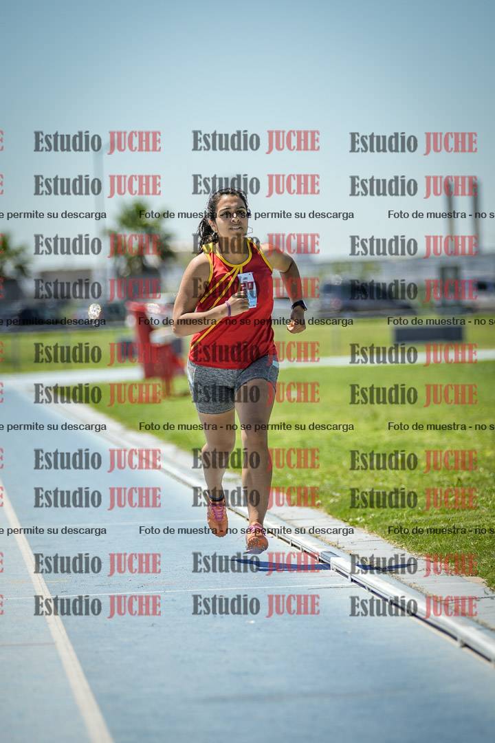 Fotos de los 800 m llanos de mujeres