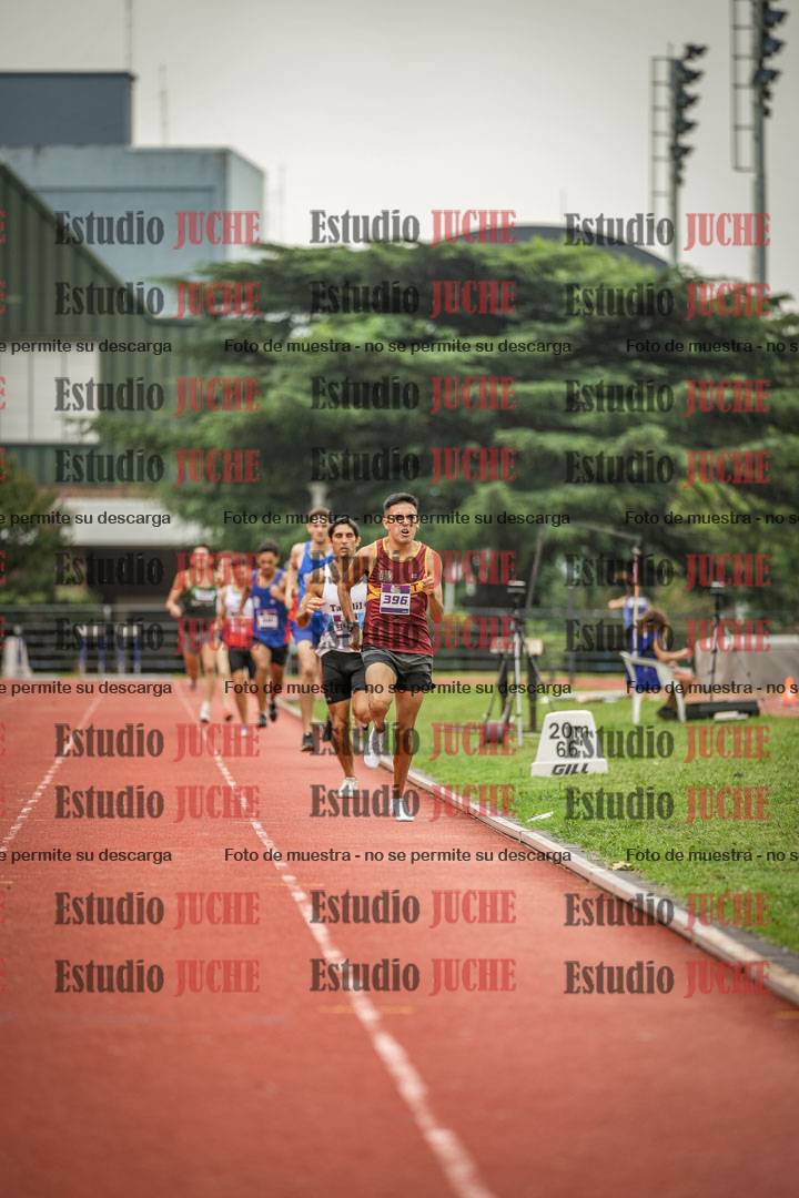 Fotos de los 800 m llanos de varones