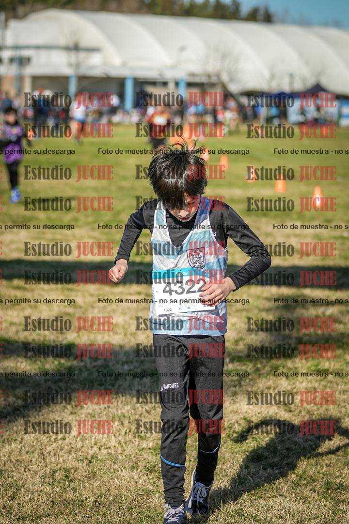 Fotos de las llegadas
