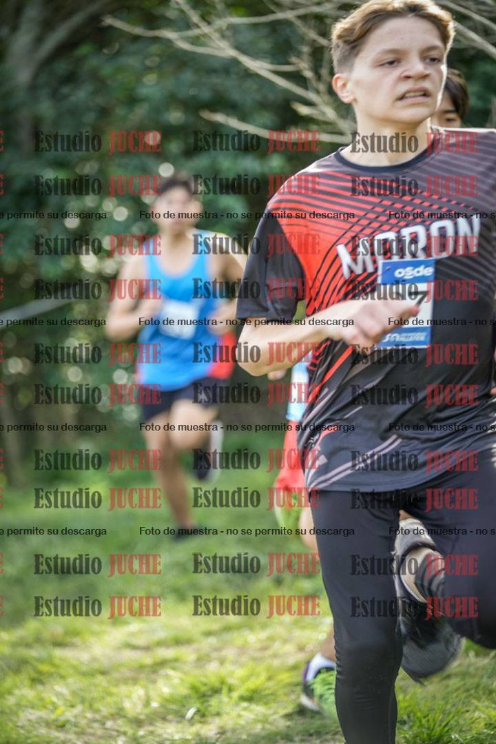 Fotos en el circuito