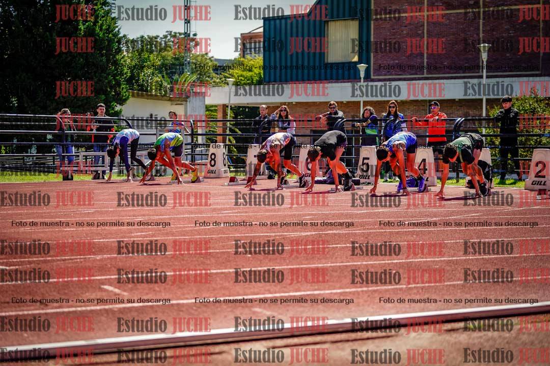 Fotos de los 110 m con vallas de varones