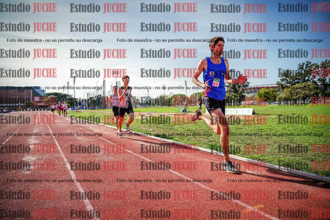 Fotos de los 800 m llanos de varones