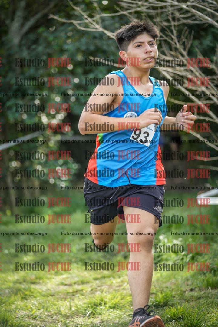 Fotos en el circuito