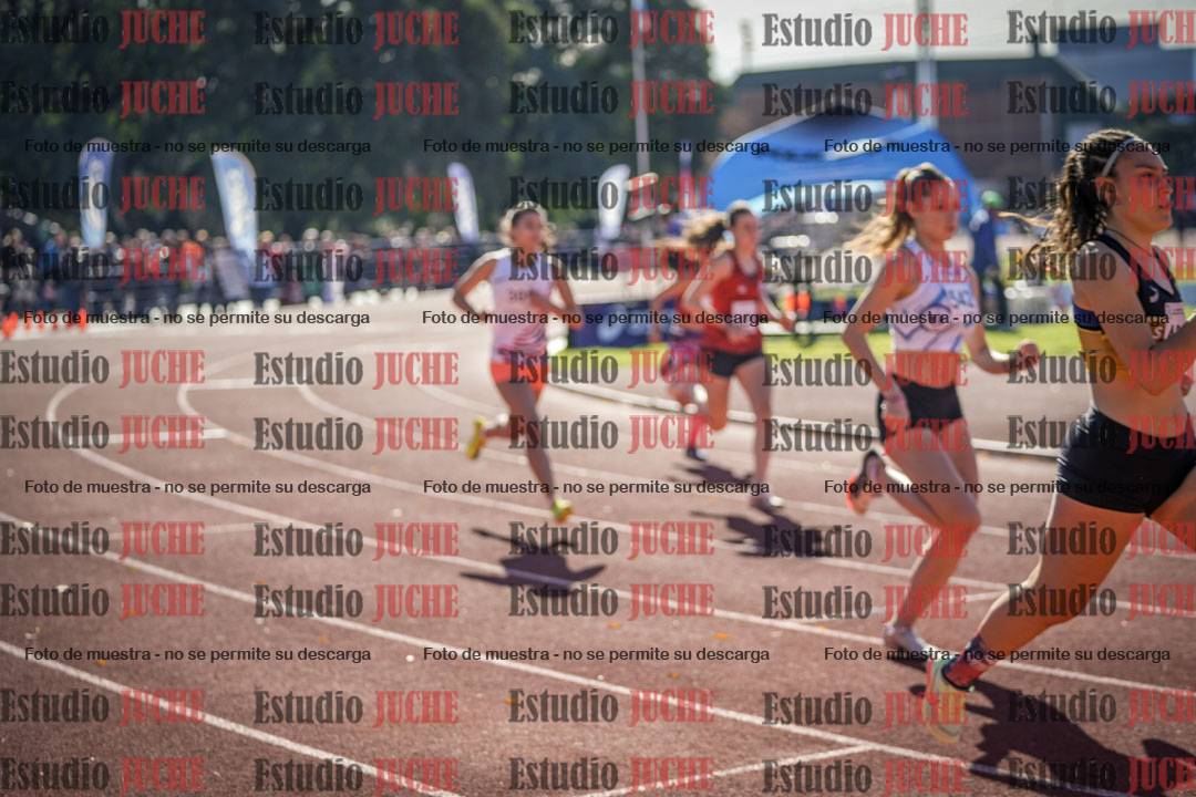 Fotos de los 800 m llanos de mujeres