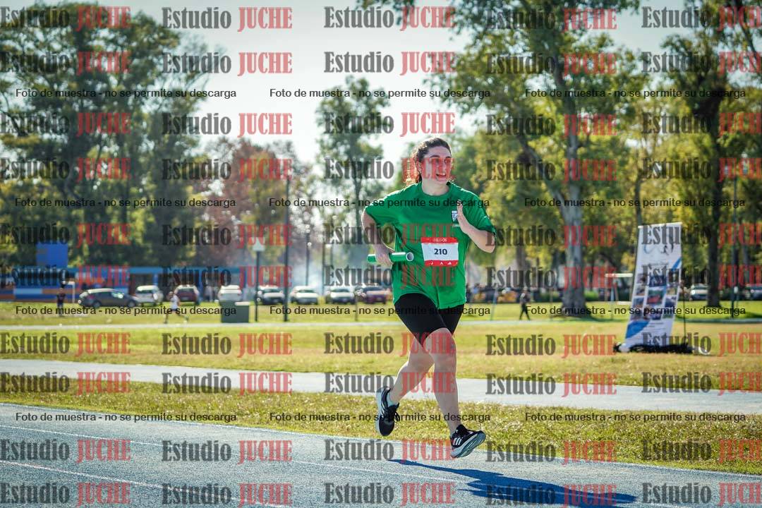 Fotos de las llegadas