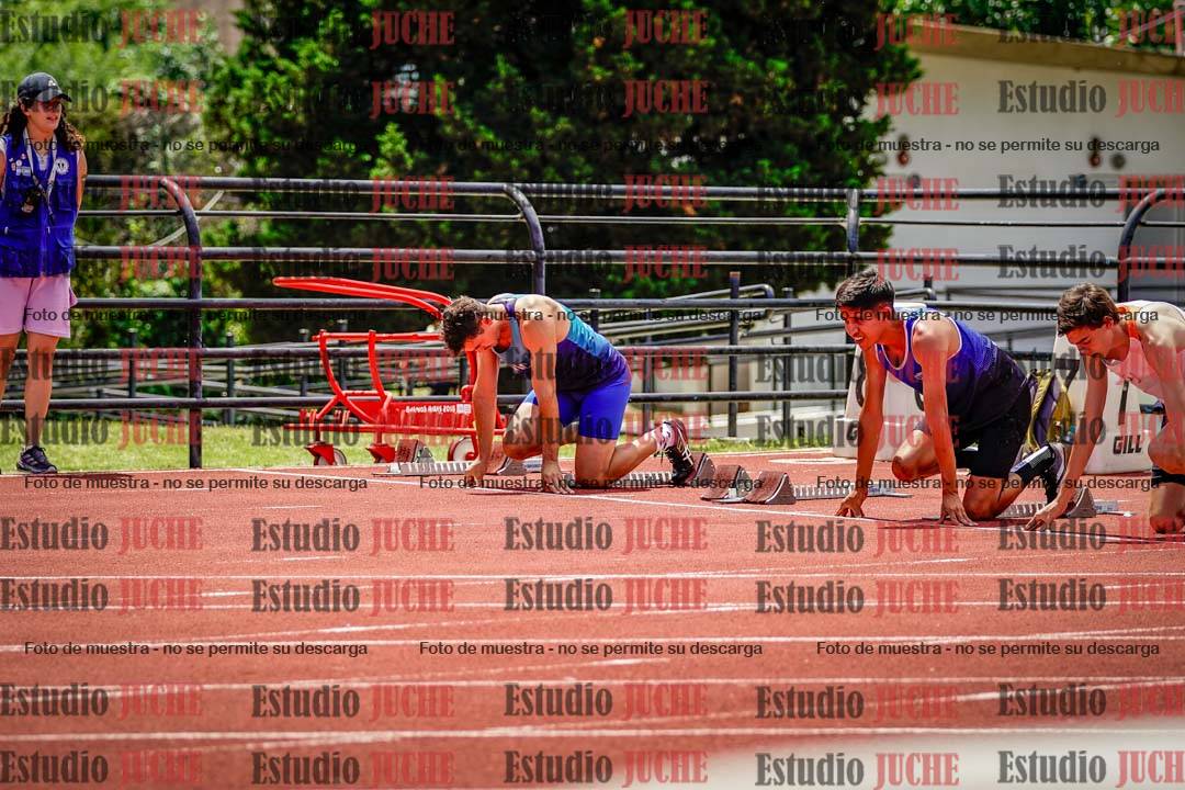 Fotos de los 110 m con vallas de varones