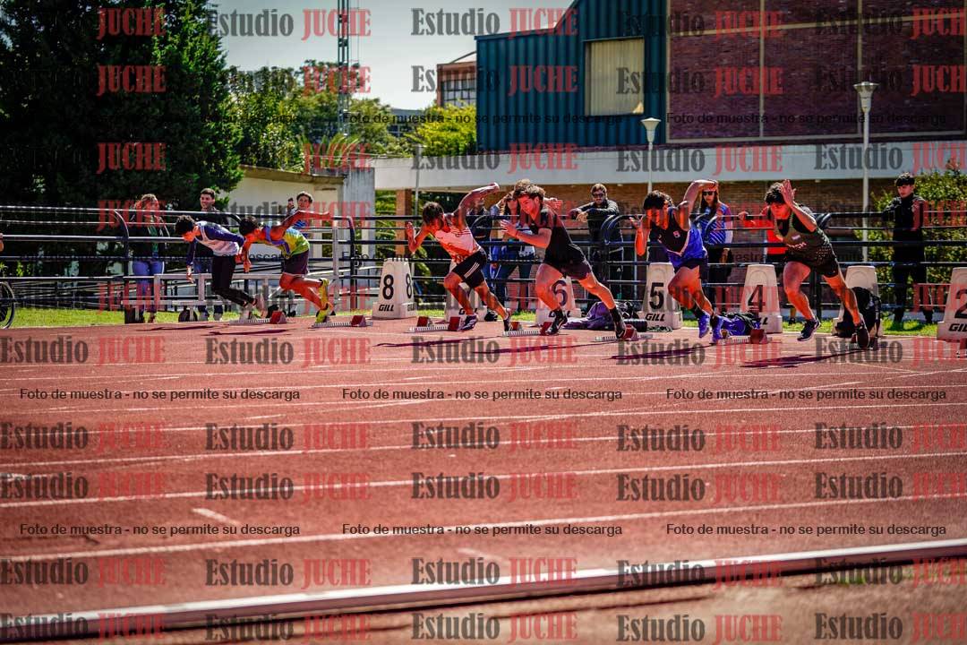 Fotos de los 110 m con vallas de varones