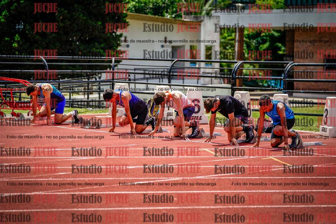 Fotos de los 110 m con vallas de varones