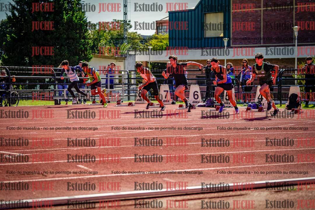 Fotos de los 110 m con vallas de varones