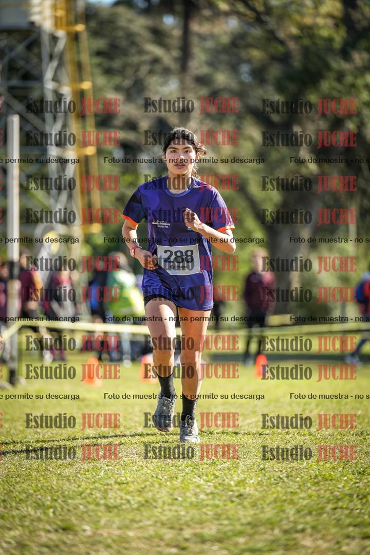 Fotos de la llegada del cross de 3000 m