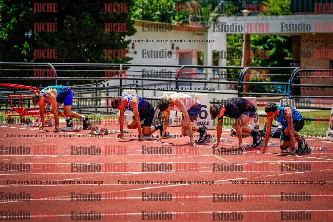 Fotos de los 110 m con vallas de varones