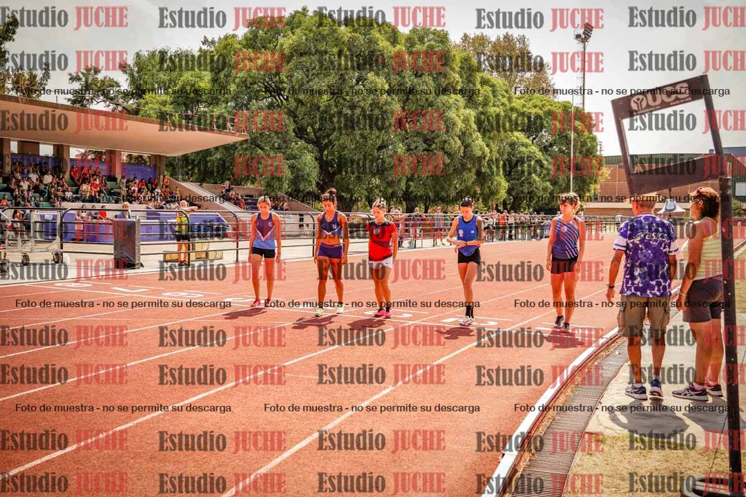 Fotos de los 800 m llanos de mujeres - combinadas 7
