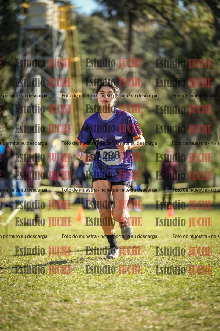 Fotos de la llegada del cross de 3000 m