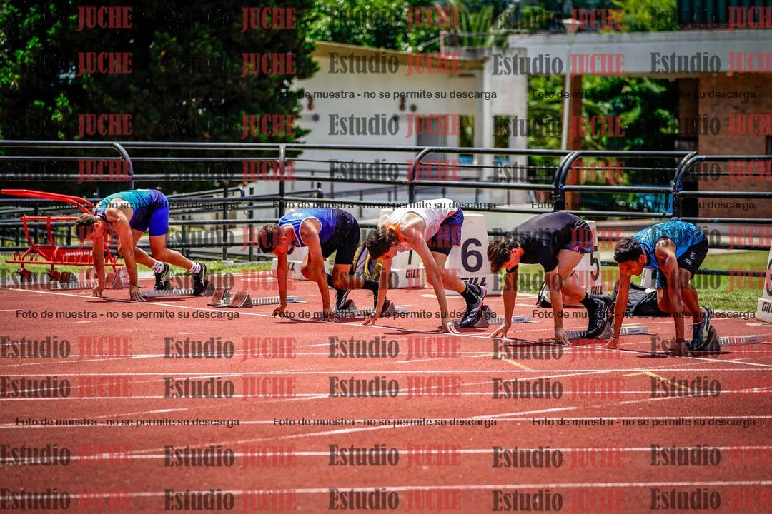 Fotos de los 110 m con vallas de varones