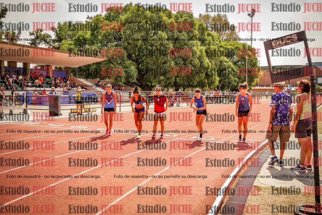 Fotos de los 800 m llanos de mujeres - combinadas 7