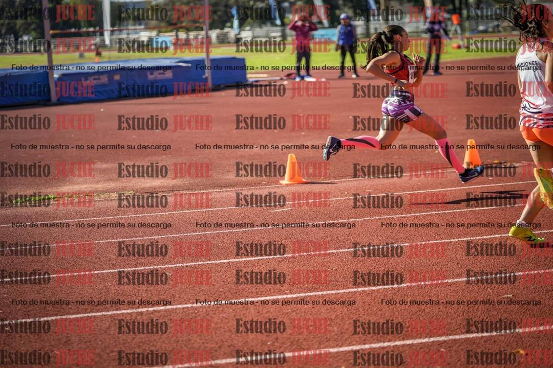Fotos de los 800 m llanos de mujeres