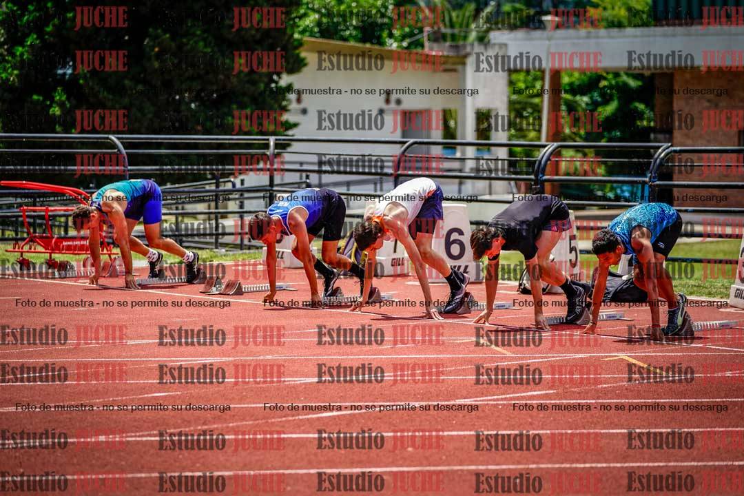 Fotos de los 110 m con vallas de varones