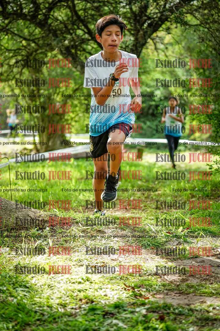 Fotos en el circuito