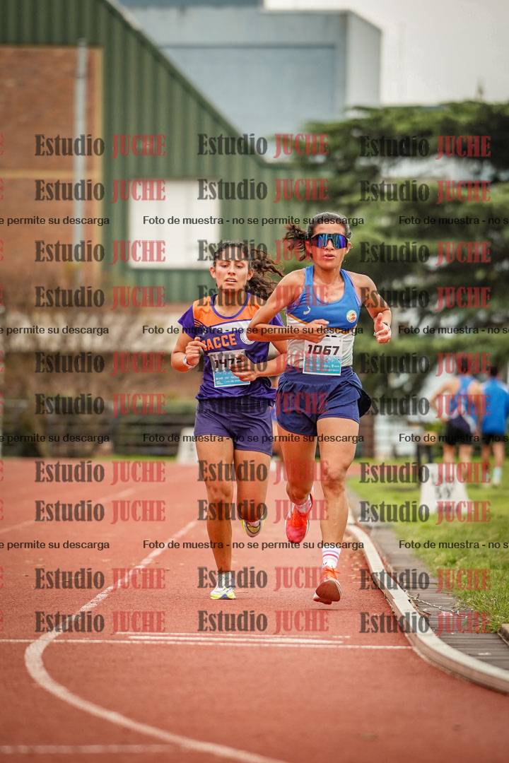 Fotos de los 5000 m de mujeres