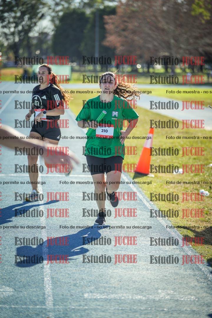 Fotos de las llegadas