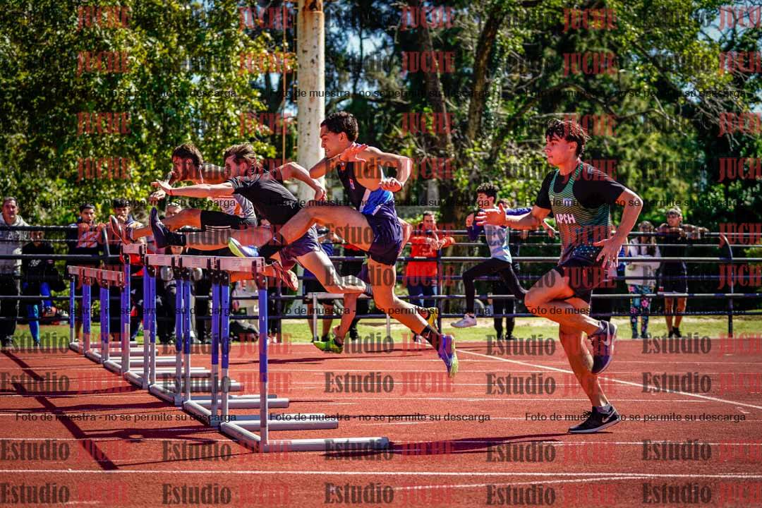 Fotos de los 110 m con vallas de varones