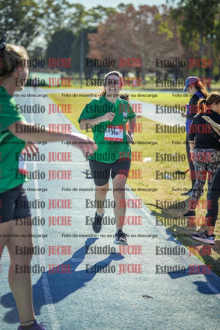 Fotos de las llegadas