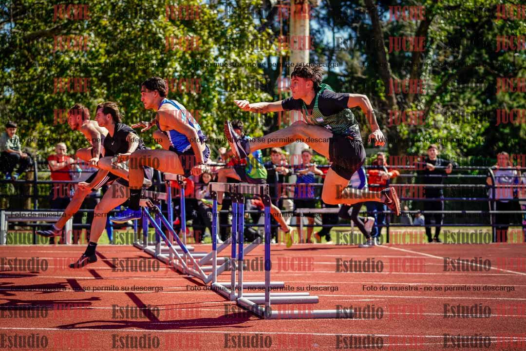 Fotos de los 110 m con vallas de varones