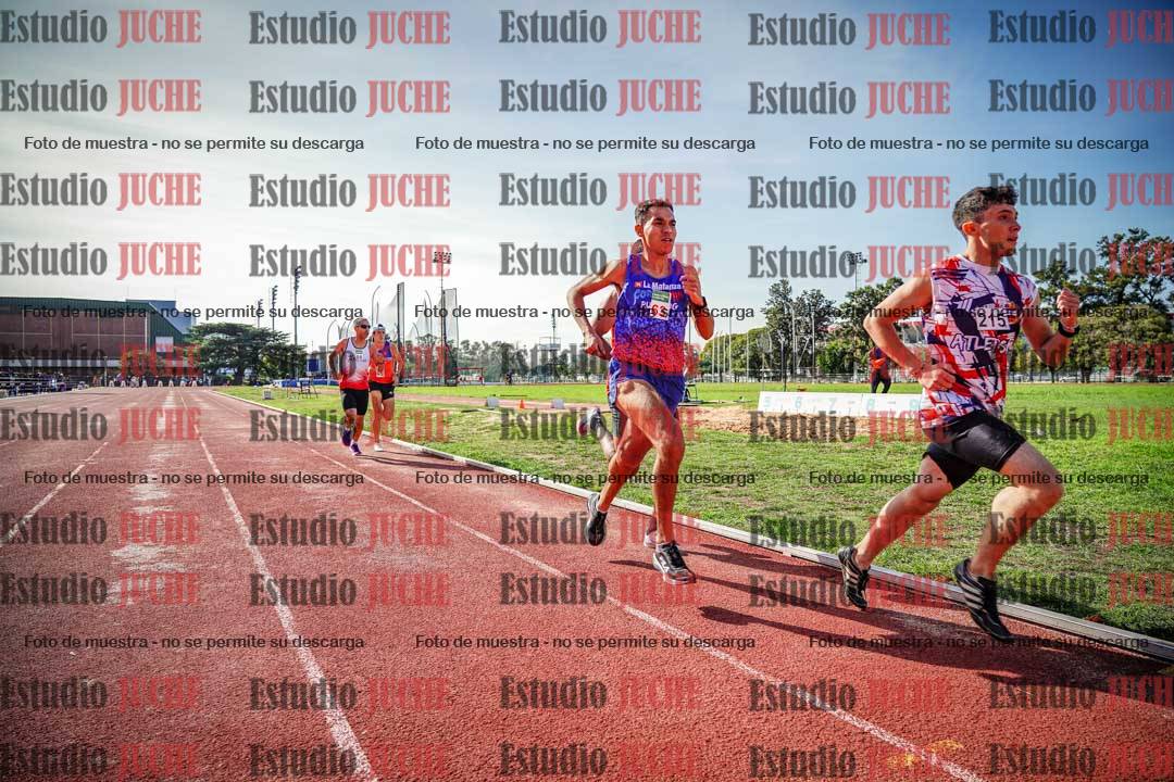 Fotos de los 800 m llanos de varones