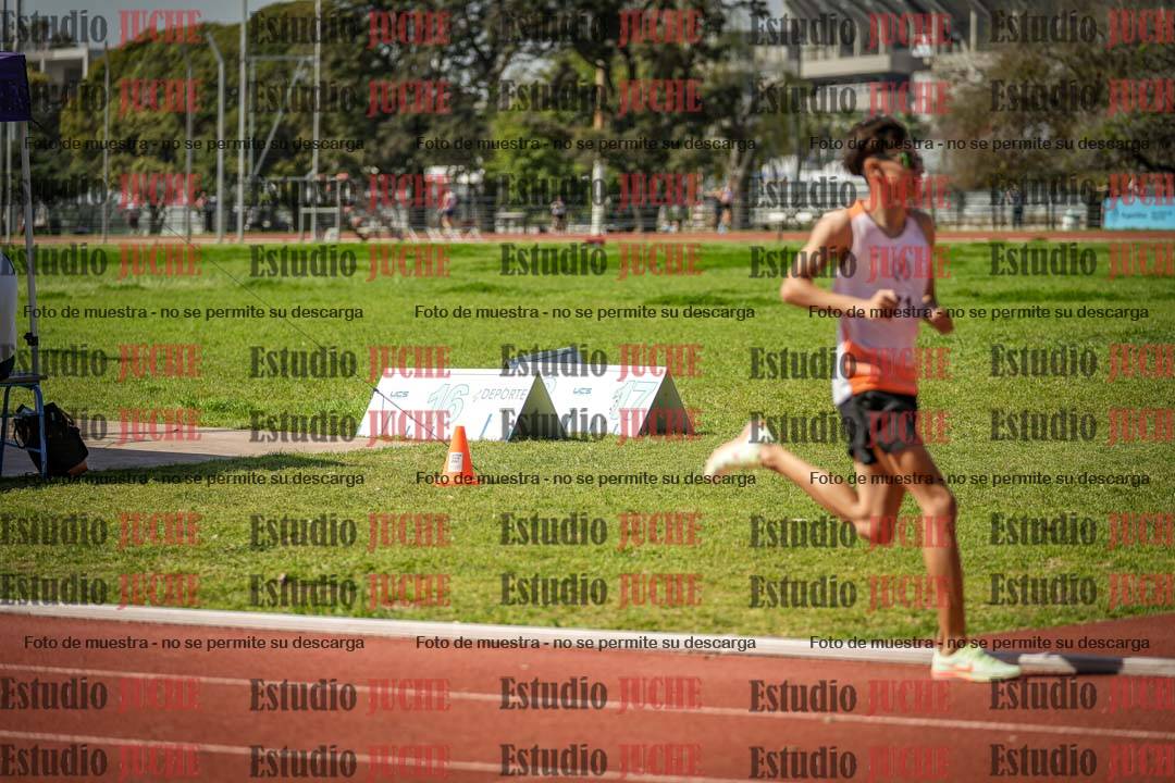 Fotos de los 1500 m llanos de varones