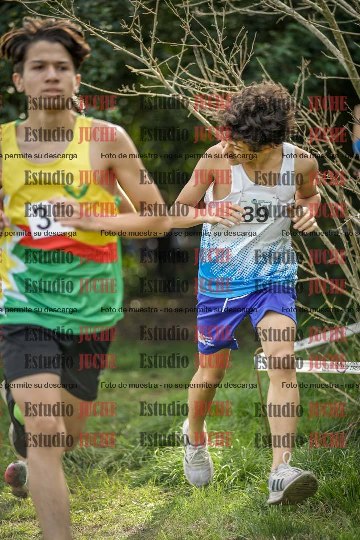Fotos en el circuito