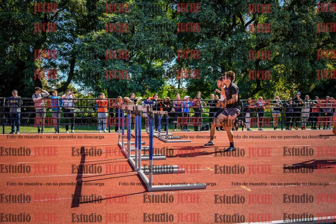 Fotos de los 110 m con vallas de varones