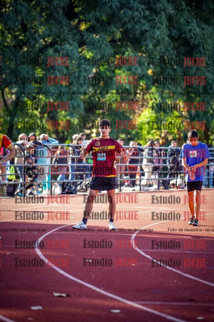 Fotos de los 800 m llanos de varones