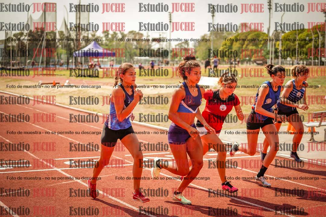 Fotos de los 800 m llanos de mujeres - combinadas 7