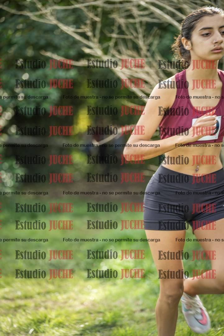 Fotos en el circuito