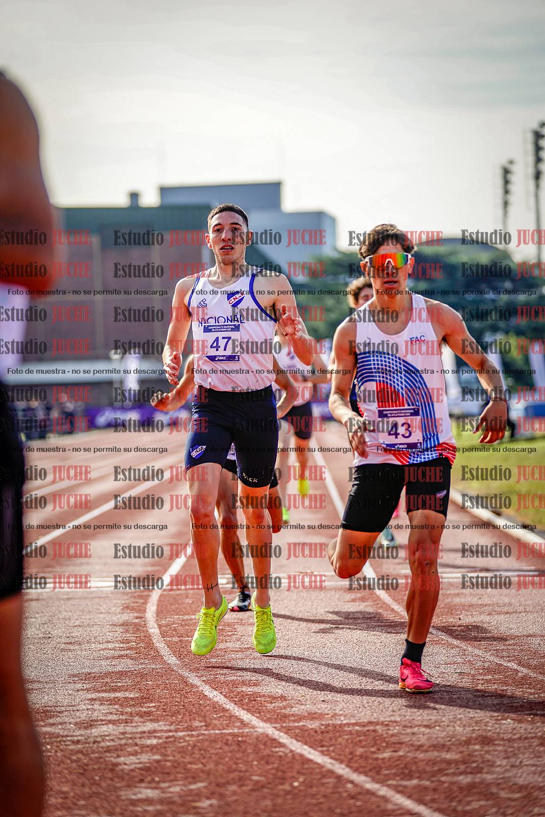 Fotos de los 800 m de varones