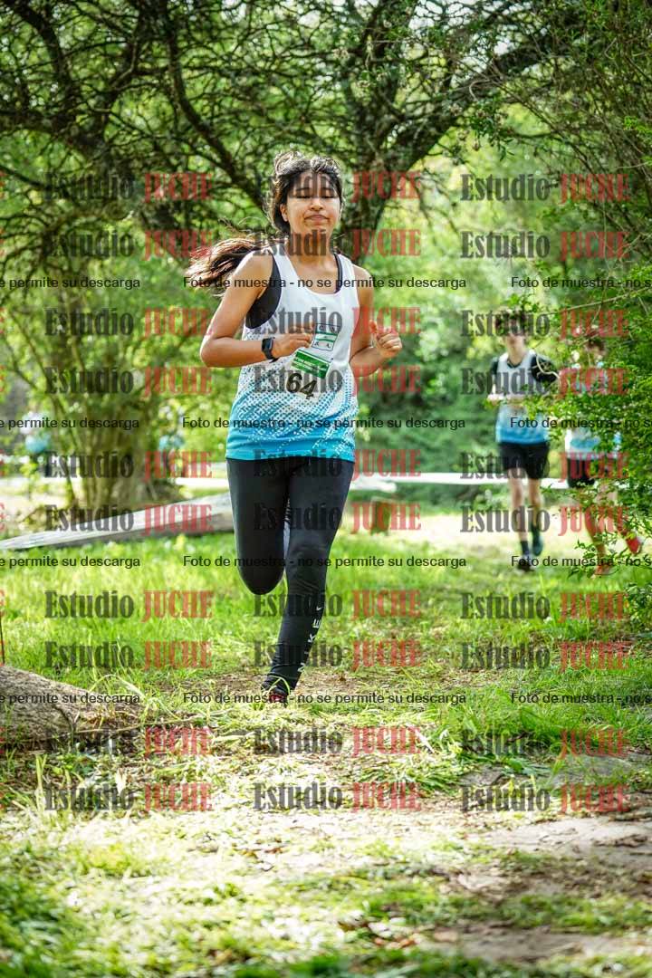 Fotos en el circuito