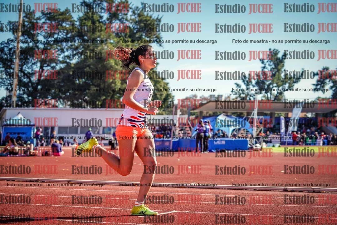 Fotos de los 800 m llanos de mujeres