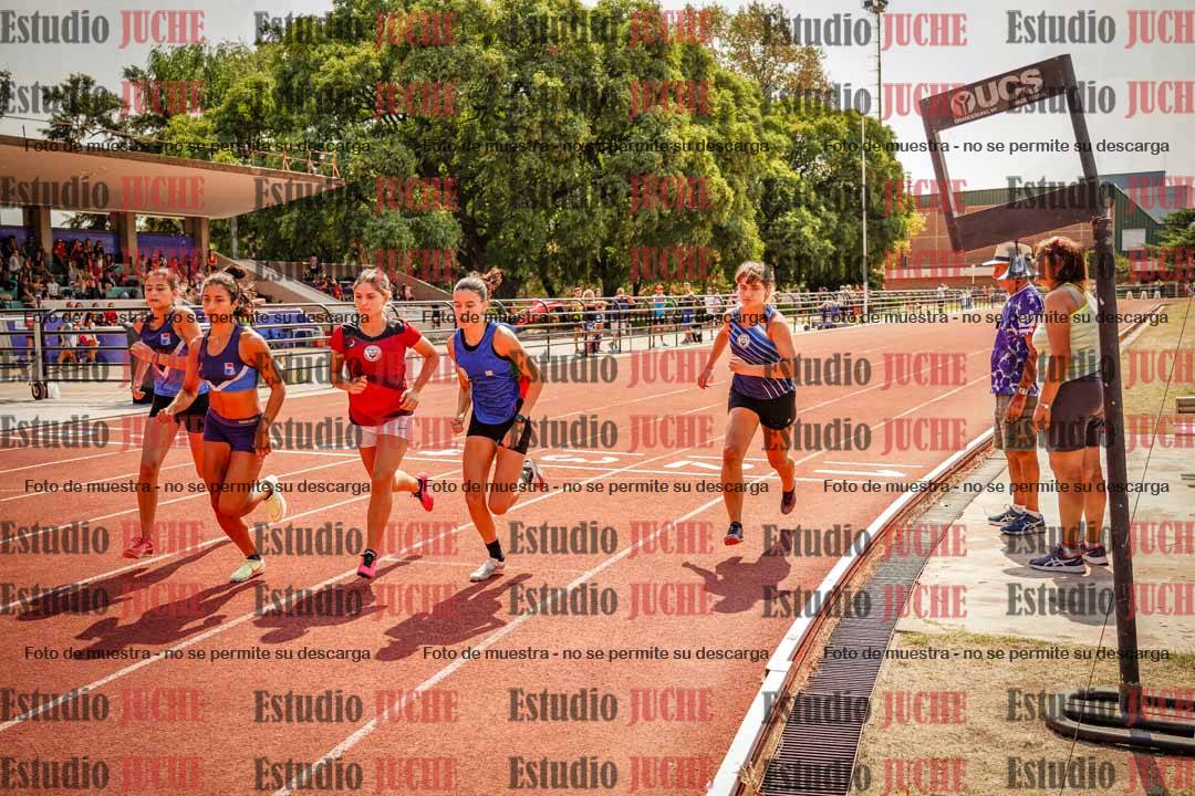 Fotos de los 800 m llanos de mujeres - combinadas 7