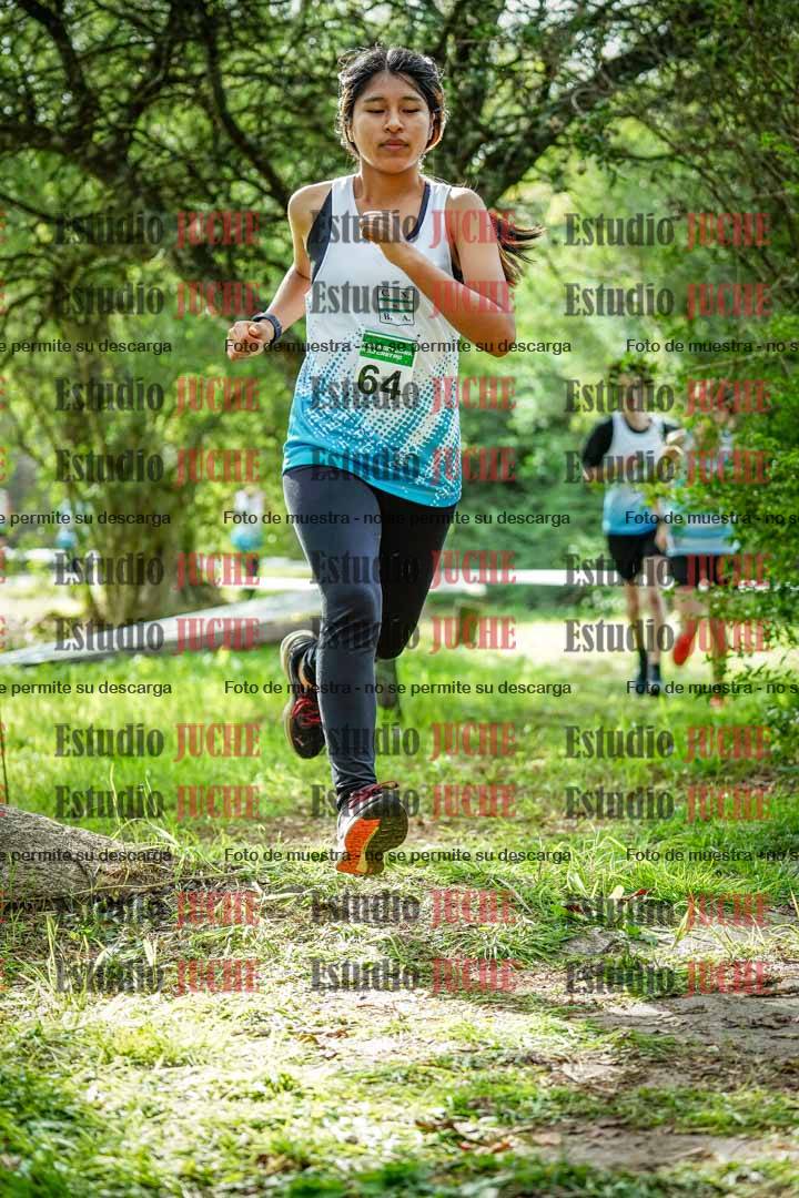 Fotos en el circuito