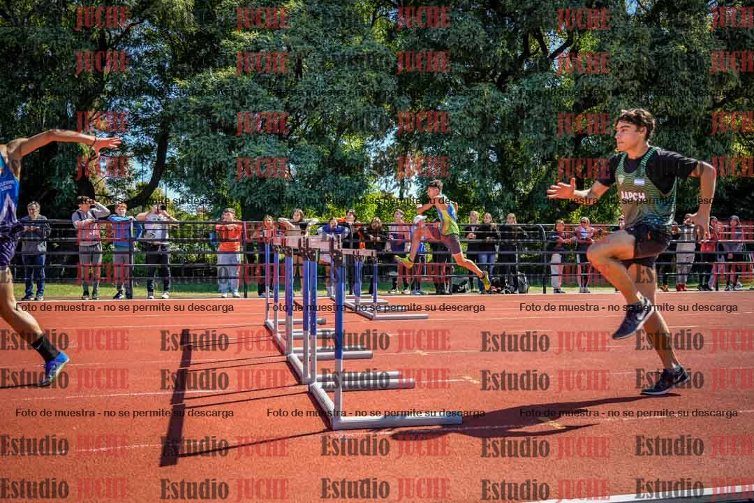 Fotos de los 110 m con vallas de varones