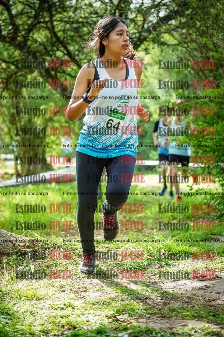 Fotos en el circuito