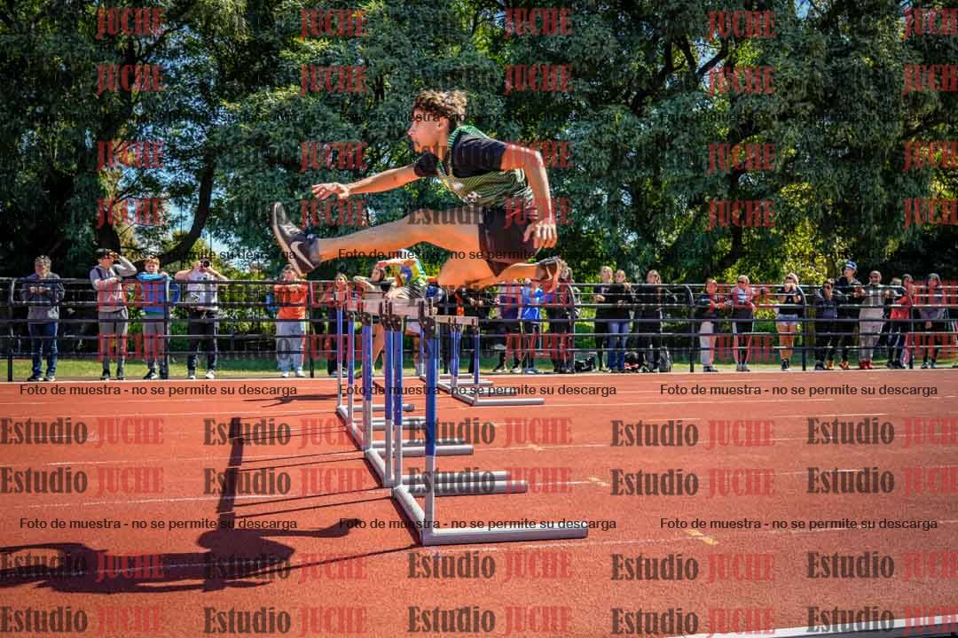 Fotos de los 110 m con vallas de varones