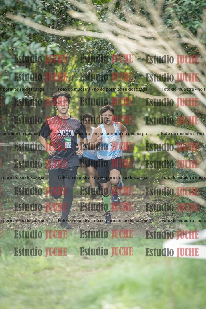 Fotos en el circuito