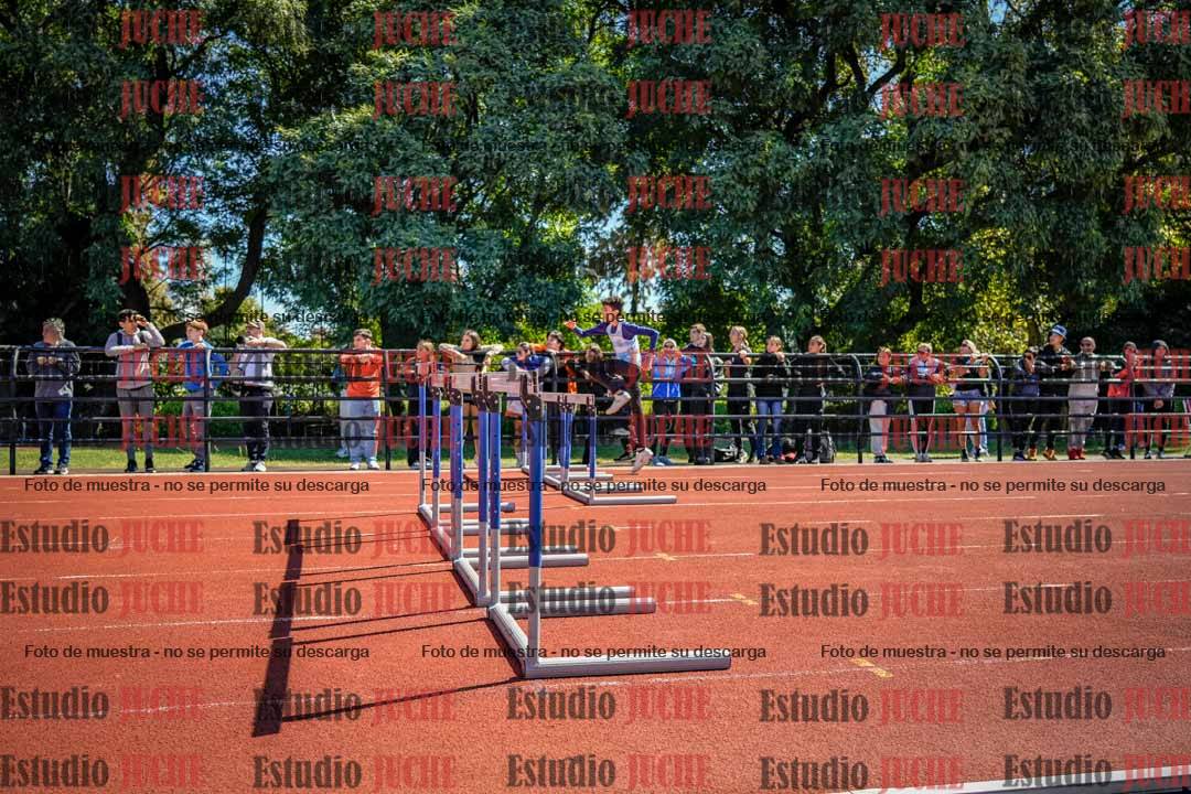 Fotos de los 110 m con vallas de varones