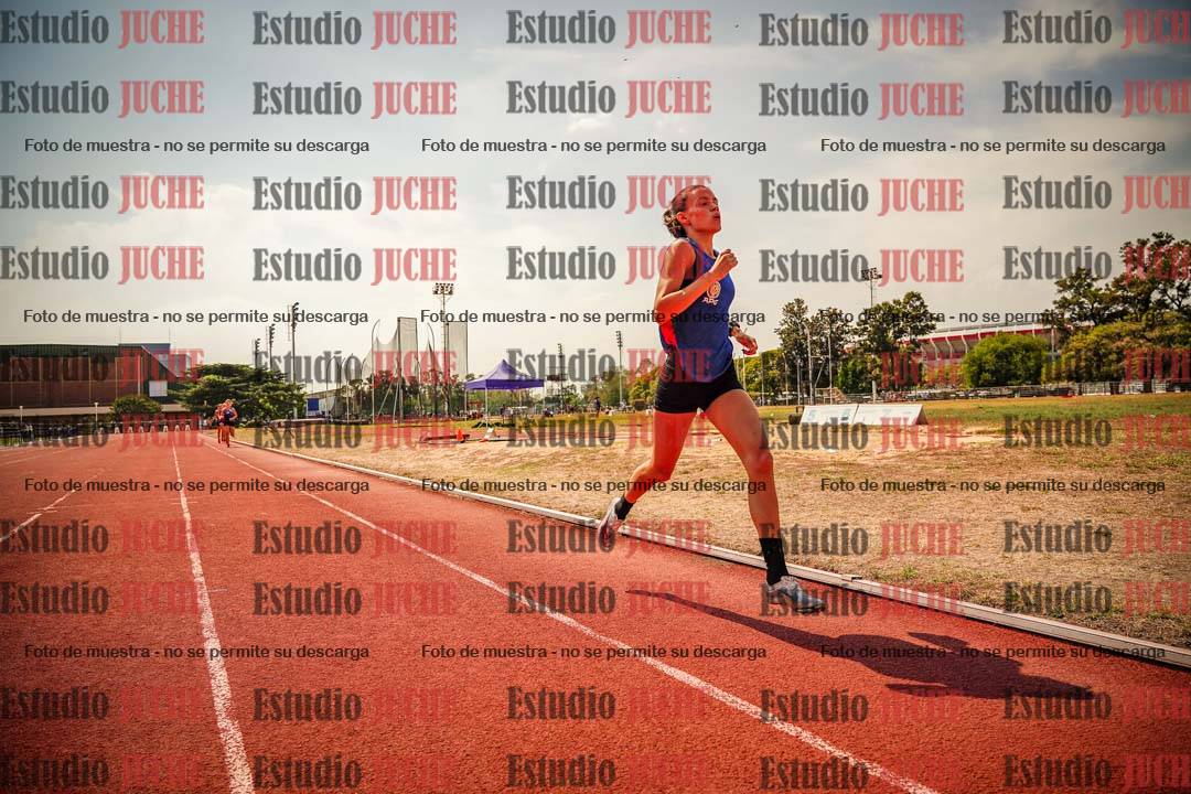 Fotos de los 800 m llanos de mujeres - combinadas 7
