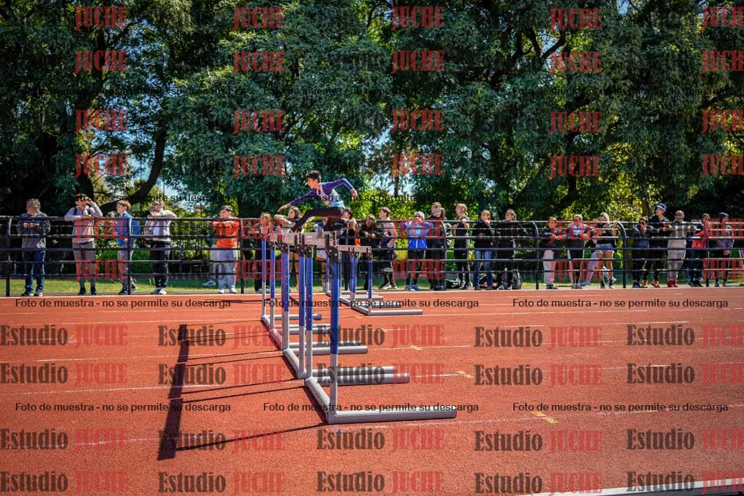 Fotos de los 110 m con vallas de varones