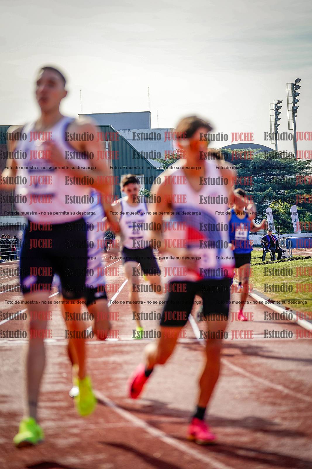 Fotos de los 800 m de varones