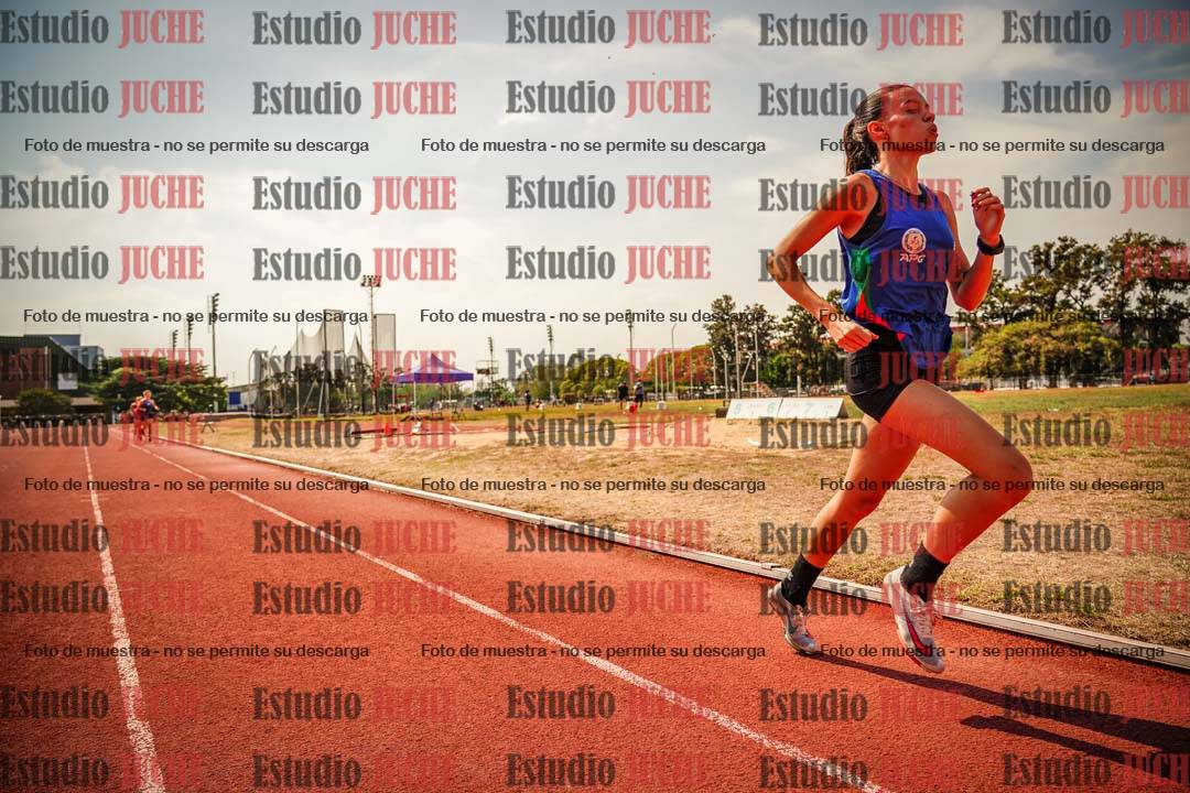 Fotos de los 800 m llanos de mujeres - combinadas 7