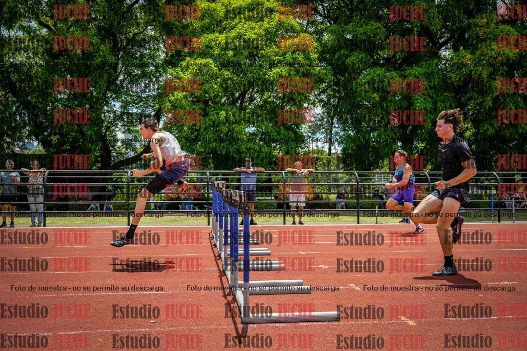 Fotos de los 110 m con vallas de varones