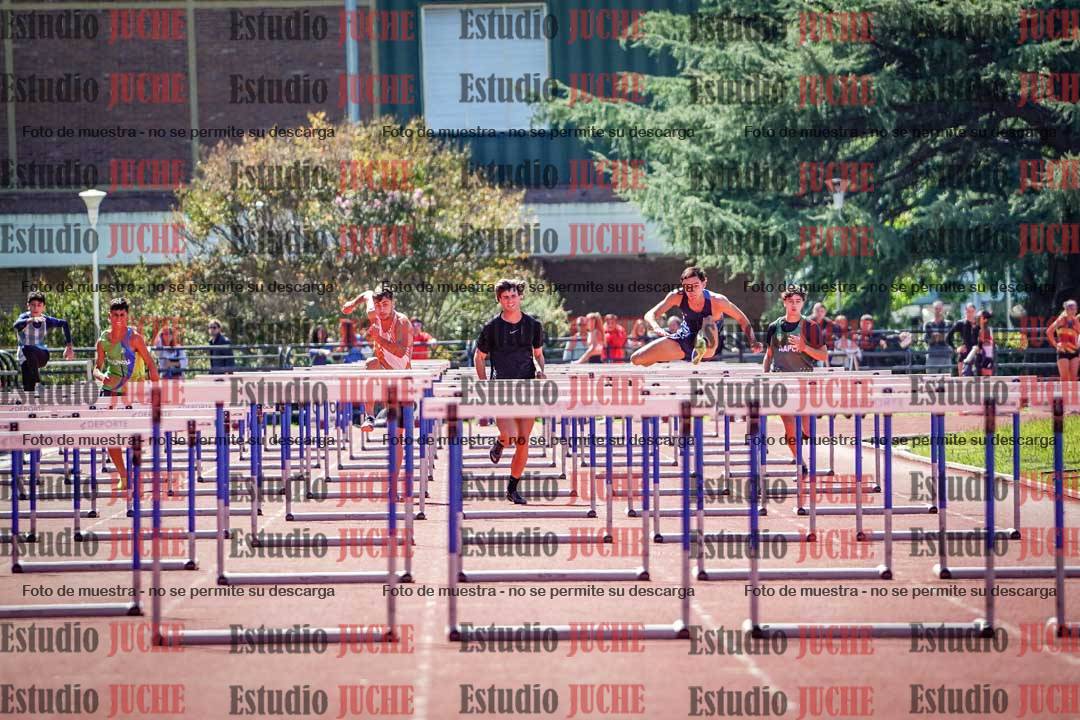 Fotos de los 110 m con vallas de varones